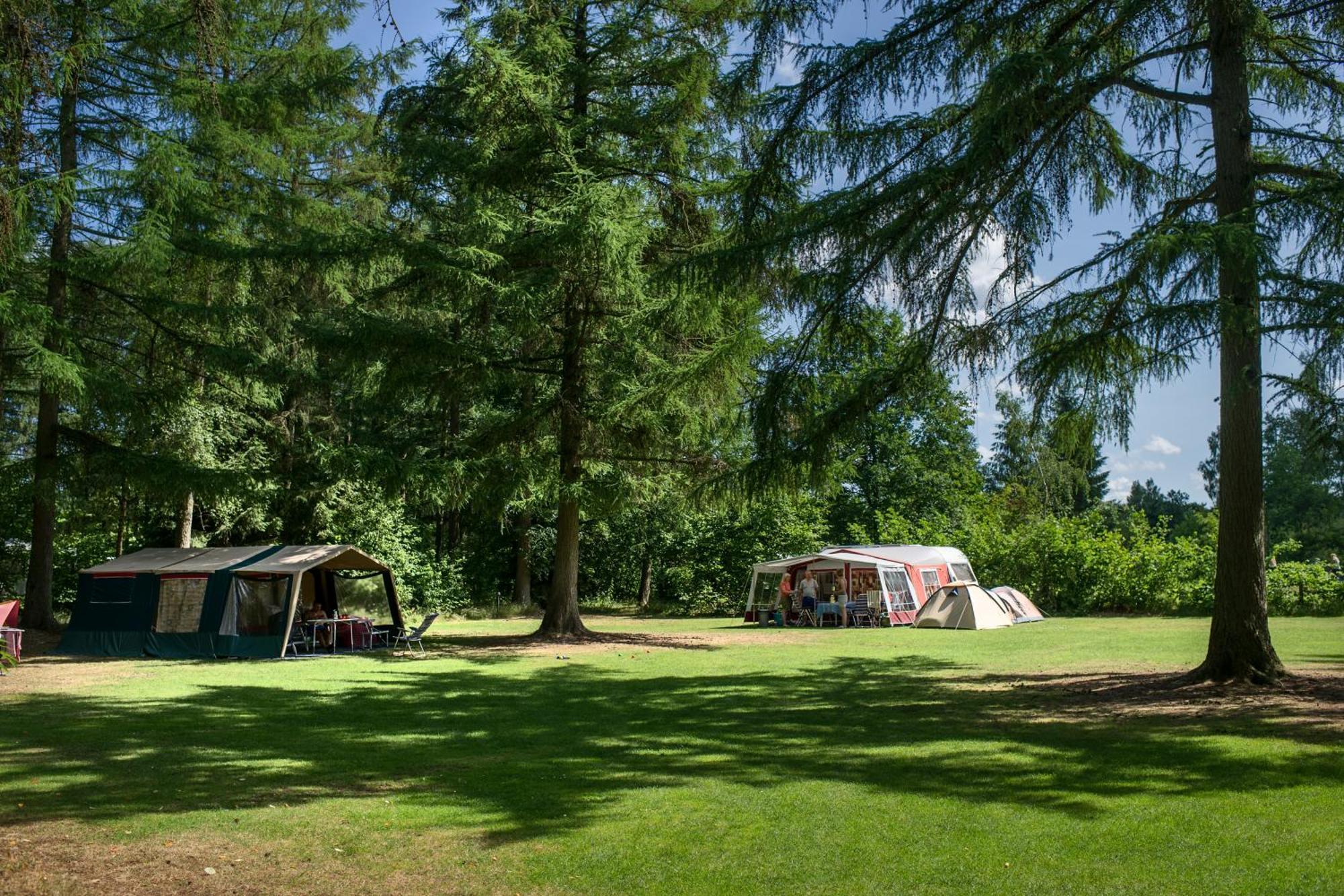 Rcn Vakantiepark De Roggeberg Appelscha Exterior foto